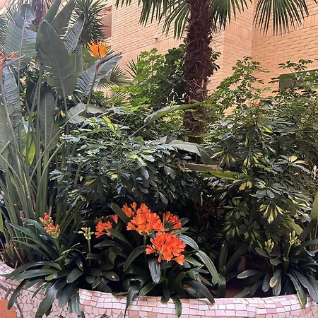 Valparaiso 8 Planta * Oropesa del Mar